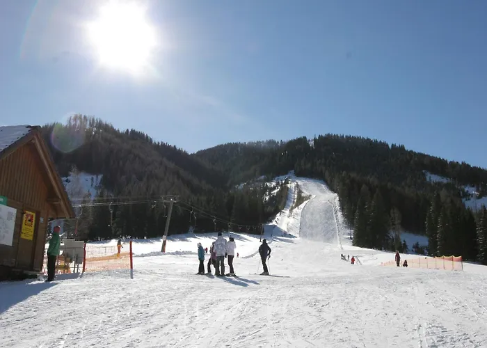 Dağ evi In Am Skilift